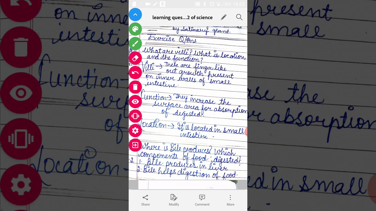 Class 7 chapter 2 nutrition in animal question answer for revision
