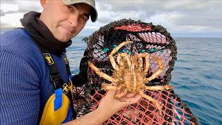 Download Lagu Handmatig vervoeren van de FishLocker kreeften- en krabbenpotten 2025 | The Fish Locker MP3 Download Lagu Handmatig vervoeren van de FishLocker kreeften- en krabbenpotten 2025 | The Fish Locker MP3