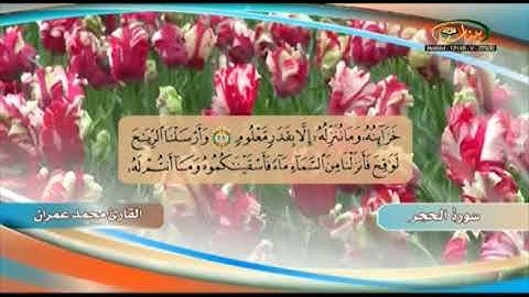 القارئ محمد عمران ـ سورة الحجر