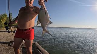 🎣КРУТАЯ РЫБАЛКА 2025🎣РЕКА ДНЕПР СУДАК ПЛОТВА ЛЕЩЬ КАРАСЬ #fishing #shorts #short
