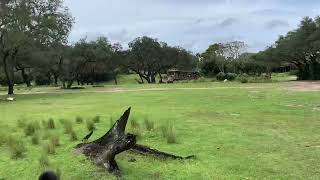 Kilimanjaro Safaris Ride Disney’s Animal Kingdom Walt Disney World