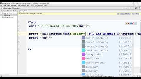 Episode 19   PHP output statements  and variables in amharic
