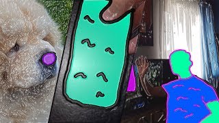 КАК СДЕЛАТЬ ЭФФЕКТ ЗЕЛЁНОЙ МАСКИ В ВИДЕО! КАК СДЕЛАТЬ ЭФФЕКТ ЗЕЛЁНОЙ МАСКИ В ВИДЕО!