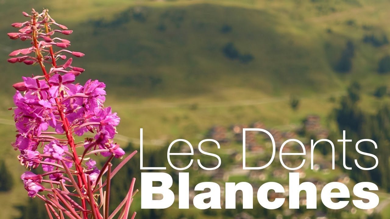 Les Dents Blanches, Hike and FPV, Swiss ALPS