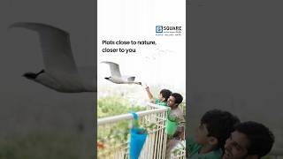 Where Birds Sing and Trees Whisper | Premium Plots at Emerald Enclave, Pollachi