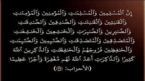 سورة الإحزاب | بصوت سالح بخاطر | حالات واتس اب ❤️