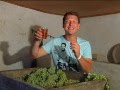 Секреты грузинского виноделия | Ртвели