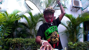 Lee "Scratch" Perry + Subatomic Sound System | Super Ape Returns To Conquer New Ark Subatomic Energy
