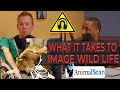 Z3P Clip: What it takes to image wildlife and common pathologies where advanced imaging is used.