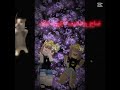 باميه بايته باميه بايته