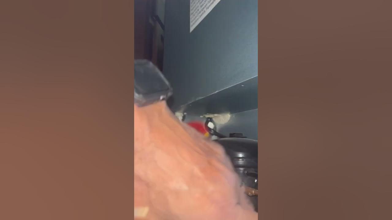 Whirlpool mini refrigerator not cooling Clicking Sound YouTube