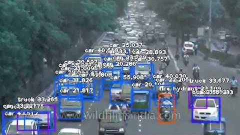 Video Object Detection, Fastest Mode and 5-Frames Detection Interval