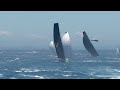 The spectacular arrives of andoo comanche maxi yacht in rolex sydney hobart 2022