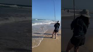 Surf fishing at Fraser Island | Tailor Fishing #shorts #surffishing #australia #FraserIsland