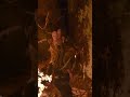 Days Gone - Always mess this up! 🤦🏼♂️#4070 #gaming #4790k #daysgone