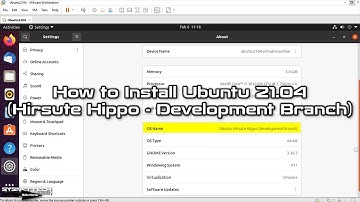 How to Install Ubuntu 21.04 (Hirsute Hippo - Development Branch) on VMware | SYSNETTECH Solutions