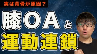 【膝以外が原因】運動連鎖と変形性膝関節症を解説