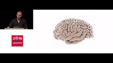 OHBM 2018 | Keynote | Martijn van den Heuvel  | Exploring the connectivity principles of brain net…