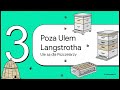 4  początkujący   nowoczesny ul