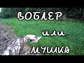 Чья возьмет воблер или мушка? Рыбалка на спиннинг!