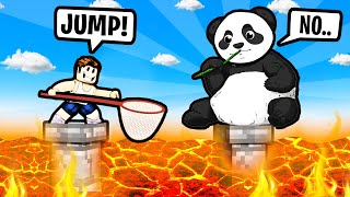 Can i CATCH THE BIGGEST PANDA? - Roblox Find the Pandas