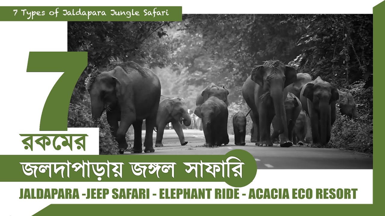 সাত ধরনের জলদাপাড়া জঙ্গল সাফারি || টাইমটেবিল ও খরচ || জলদাপাড়া জাতীয় উদ্যান || আকাশিয়া ইকো রিসোর্ট