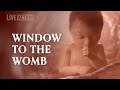 A Never Before Seen Look At Human Life In The Womb | Baby Olivia