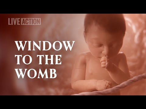 A Never Before Seen Look At Human Life In The Womb | Baby Olivia