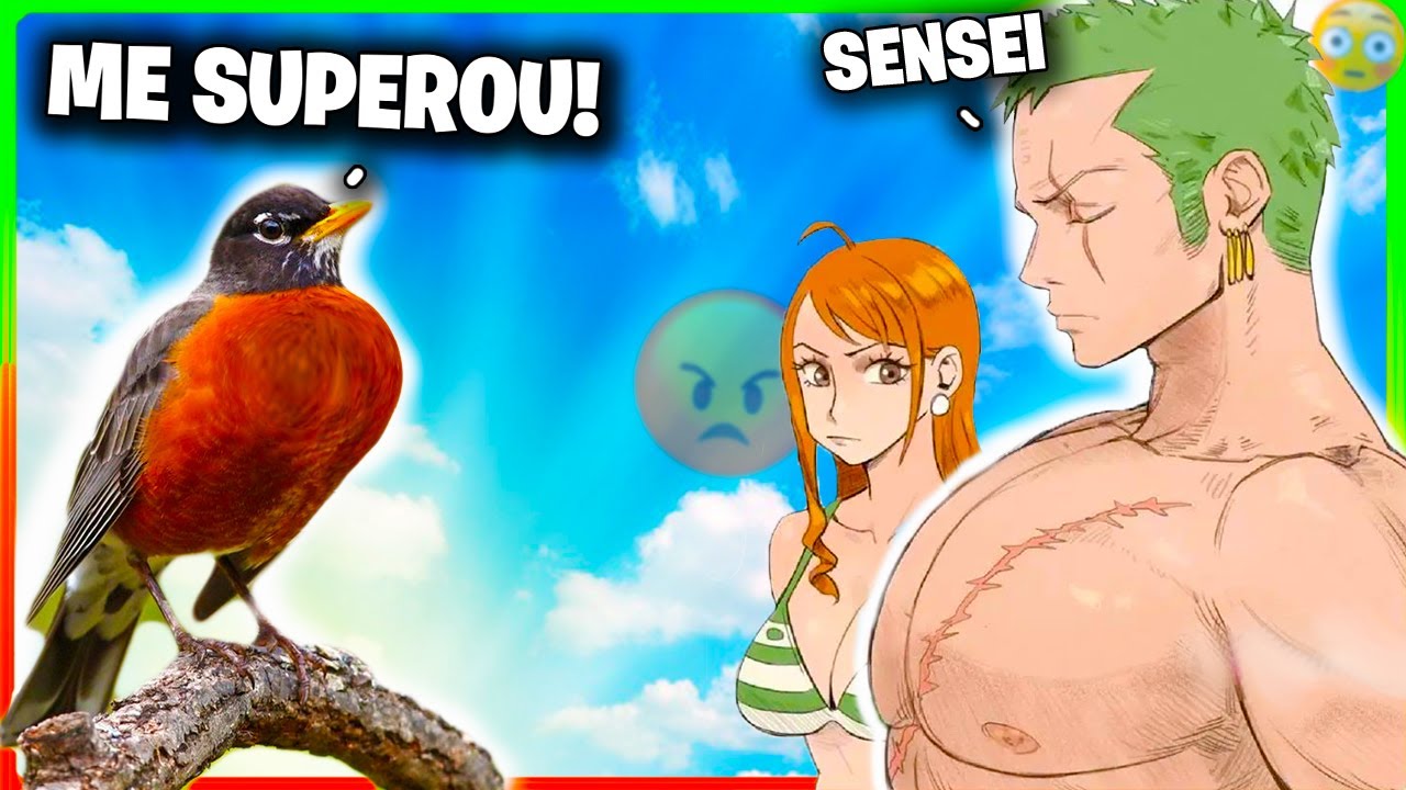 O ZORO SOLA KKKK MEMES DE ONE PIECE