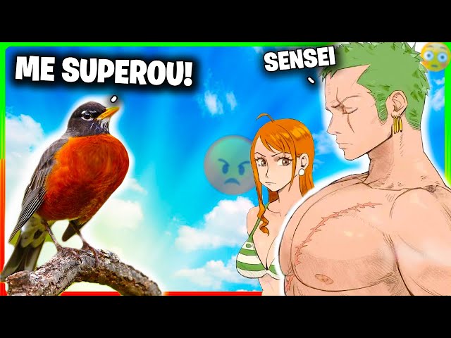 Fãs de one piece fãs de one piece explicando o po falar zoro sola é tão  engraçado a ponto daales penamarem em tada n meme - iFunny Brazil