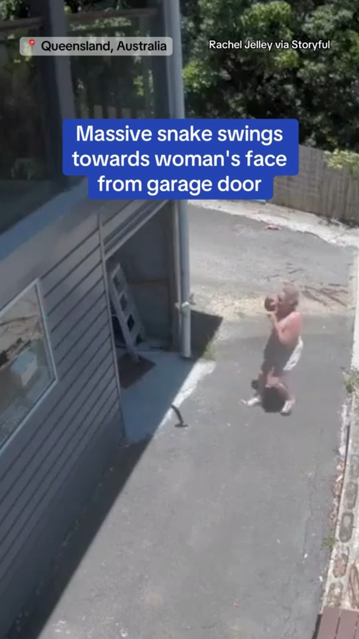 Massive snake swings toward woman's face from garage door #shorts