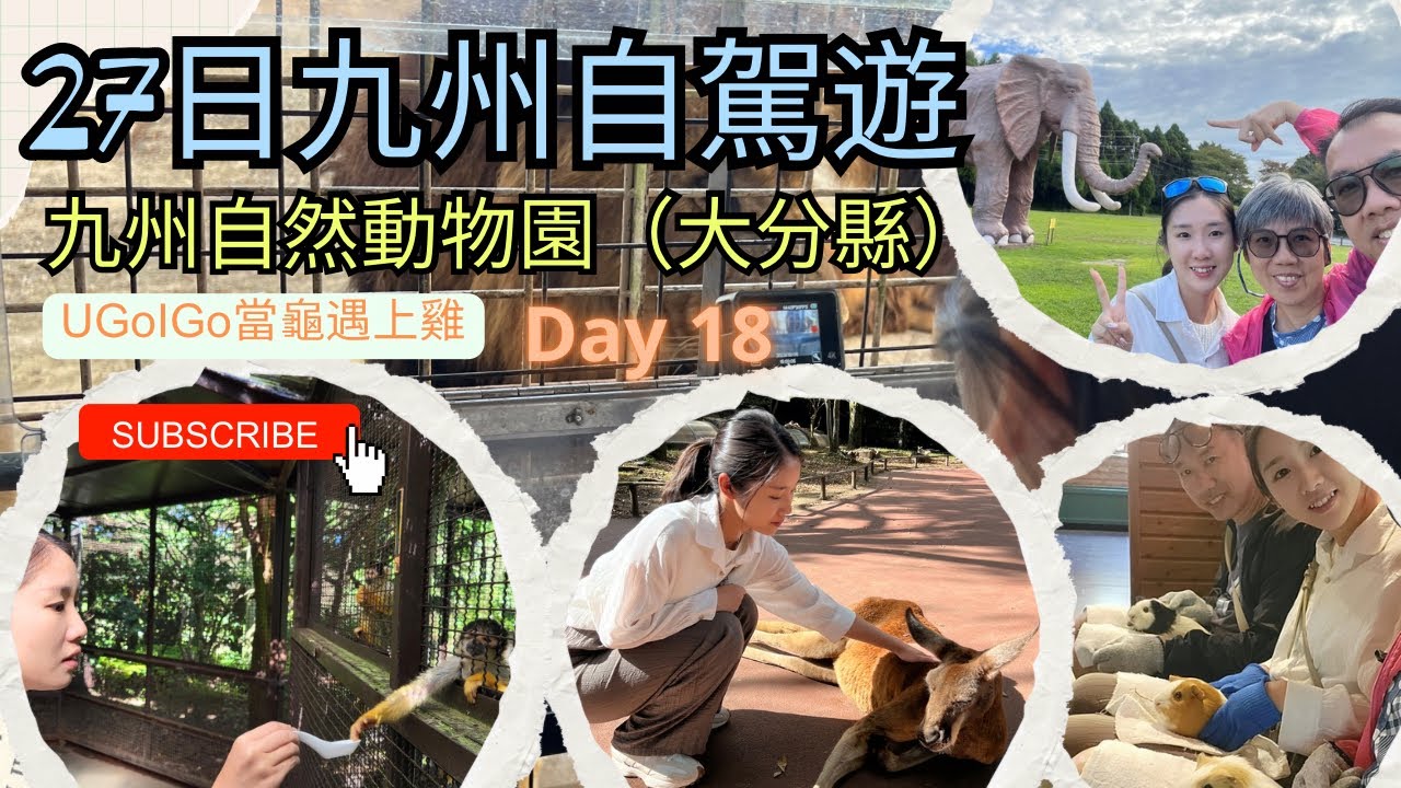 27日九州自駕遊 DAY 18 九州自然動物公園 | 日本大分縣 | 日本最大的野生动物园 | 多种互动区域 | 自駕近距離接觸野獸動物 | 親子必去景點 | 餵野生動物