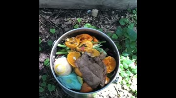 Home Composting Overview