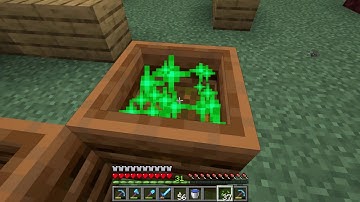 How to make and use a Composter guide - Minecraft