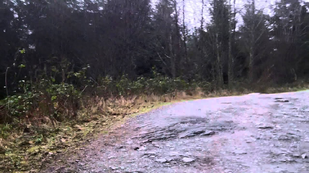 Driving up Blanchard Mountain YouTube