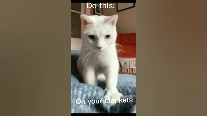 Tips for cat therians #fyp #trendingshorts #therian #therianthropy #theriotype #funny #cat #cats