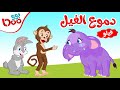 قصة دموع الفيل الصغير فيلو قصص اطفال قبل النوم قصص اطفال جديدة 2020