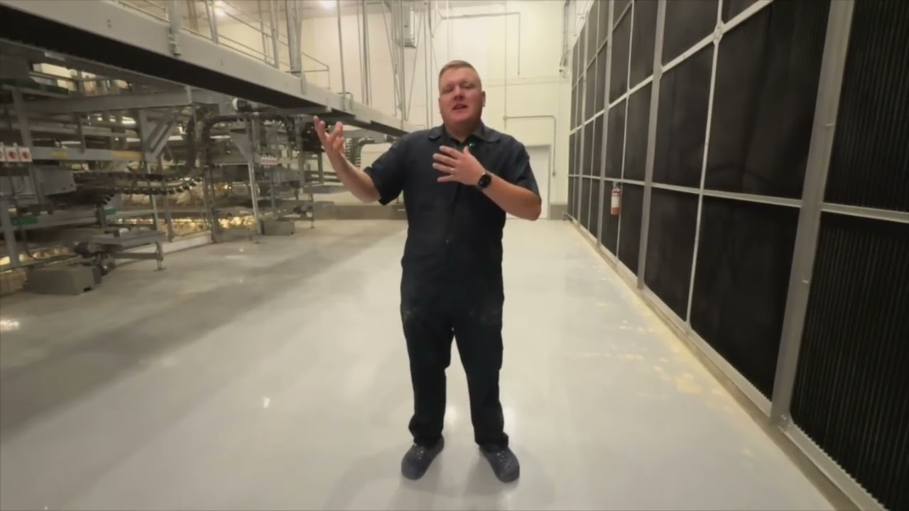 Выгодные методы: поддержание высокого уровня яйцепроизводства и снижение энергозатрат.