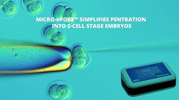 MICRO ePORE™ Cell Penetrator Improves Viability of Injected 2-Cell Stage Embryos