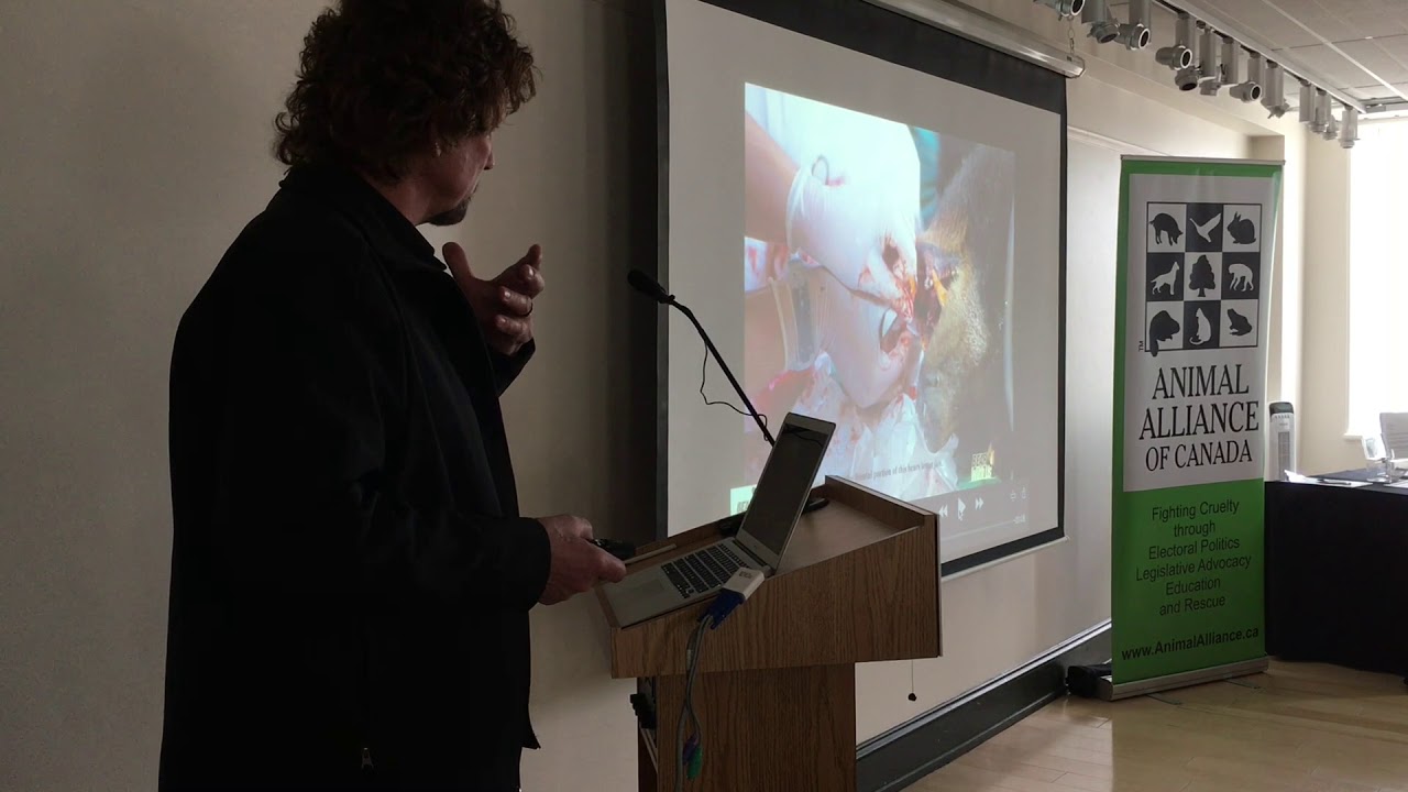 Mike McIntosh on common misconceptions about bears advocacy ne demek