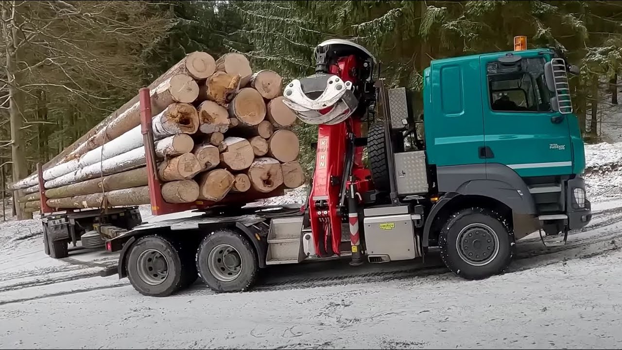 перевозка длинномерного леса