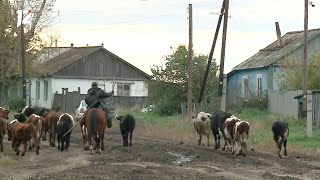 "Местные жители" с Оксаной Савочкиной (06.10.2020)