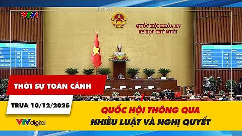 Thời sự toàn cảnh trưa 10/12: Quốc hội thông qua nhiều luật và nghị quyết | VTV24