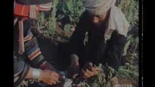Gianclaudio Lopez: Geo 1992-02  Indocina, gli Akha coltivatori del papavero dell'oppio