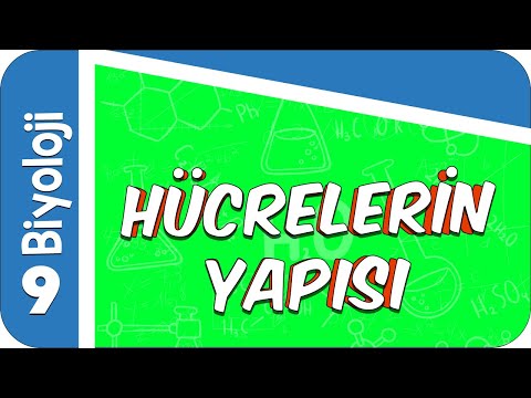 9. Sınıf Biyoloji: Hücrelerin Yapısı  #2022