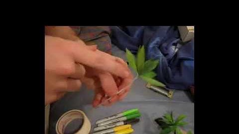 How to make a Palm Tree Tutorial Video