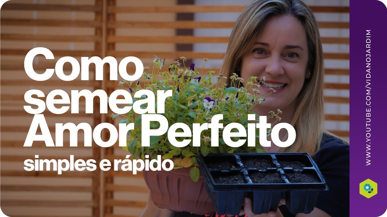 Como semear Amor perfeito simples e rápido