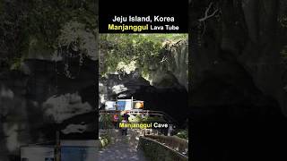Manjanggul Cave in Jeju Island | Lava Tube [National Geopark] | South Korea Travel | 제주 만장굴