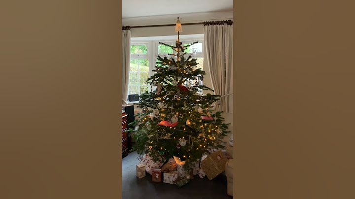 С Наступающим Новым 2025 годом! 🎄🎅✨#израиль#новый_год
