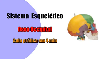 O que significa osso occipital?